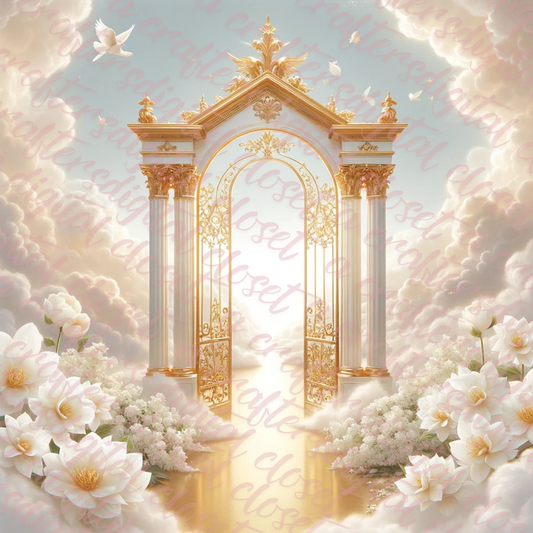White Background 2 PNG